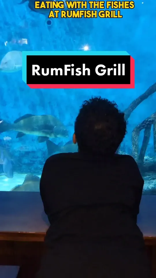 Video at Tradewinds Bar & Grill, Kissimmee