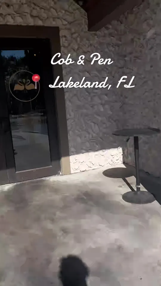 Video at Cob & Pen, Lakeland