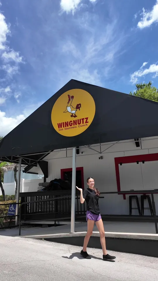 Wings at Wingnutz Lakeland, Lakeland – $9.99 on the menu