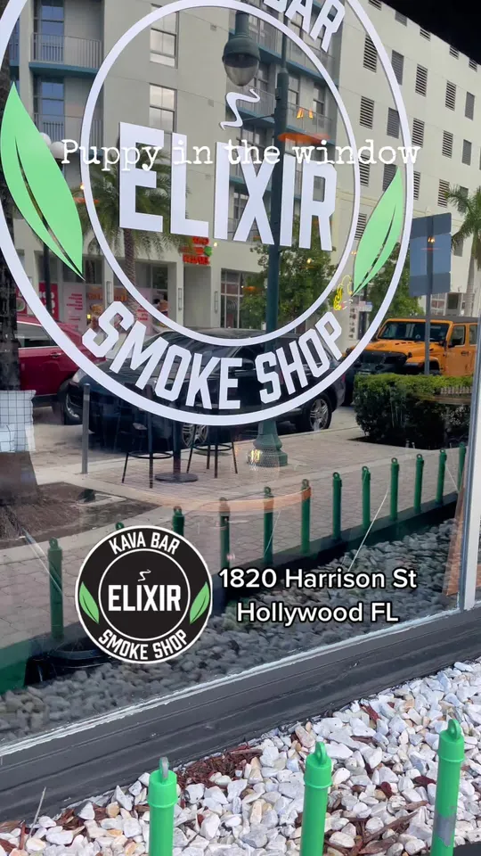 Video at Elixir Kava Bar, Miami Beach