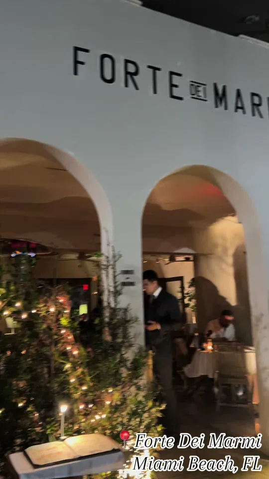 Video at Forte dei Marmi, Miami Beach