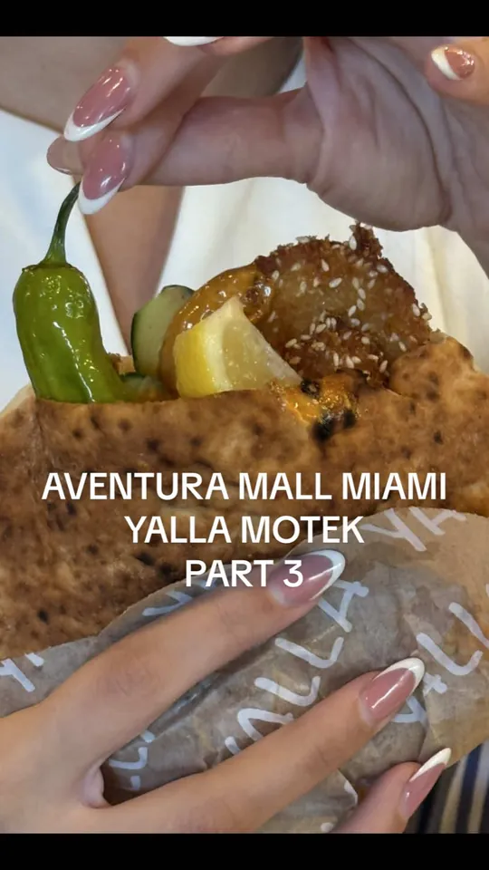 Falafel at Motek South Beach, Miami Beach