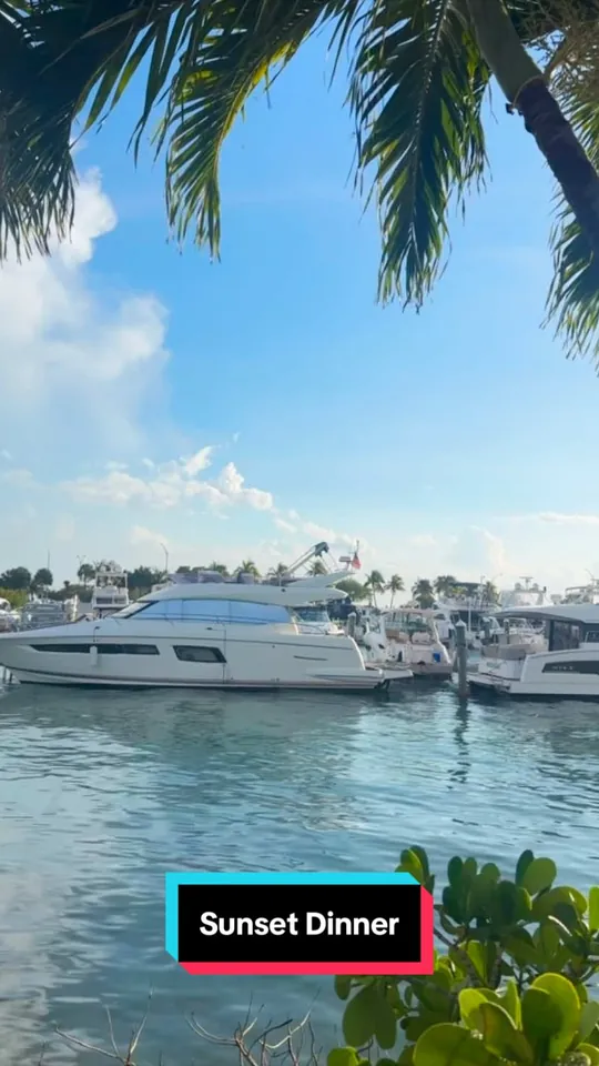 Video at Pelican Restaurant, Miami Beach