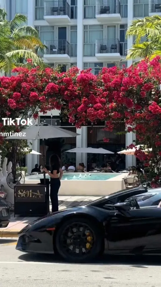 Brunch at Sola Miami Beach, Miami Beach