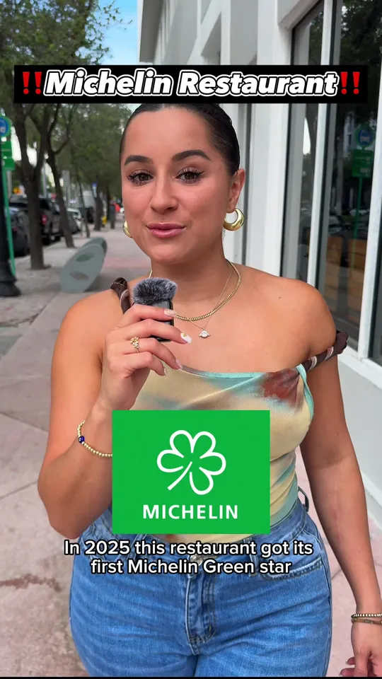 Video at Stubborn Seed - Miami Beach, Miami Beach