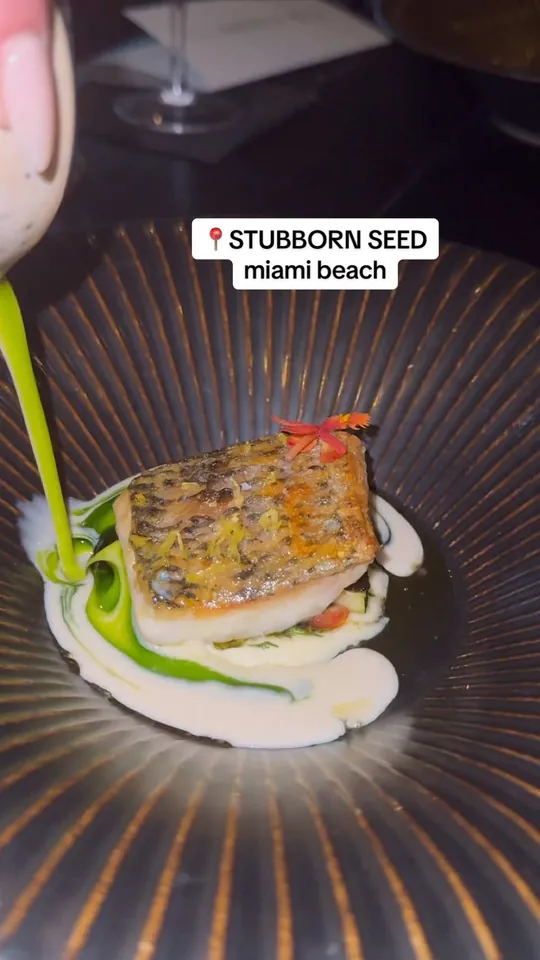 Video at Stubborn Seed - Miami Beach, Miami Beach