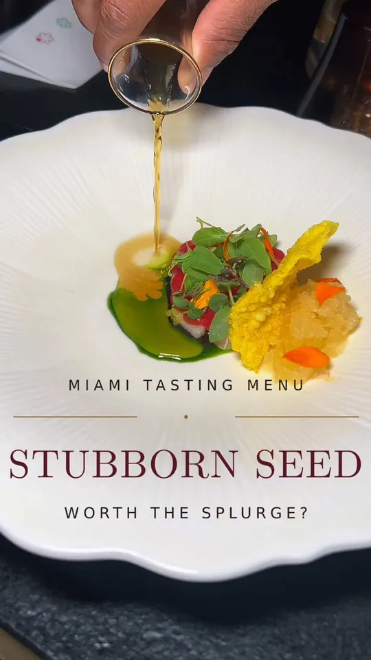 Video at Stubborn Seed - Miami Beach, Miami Beach