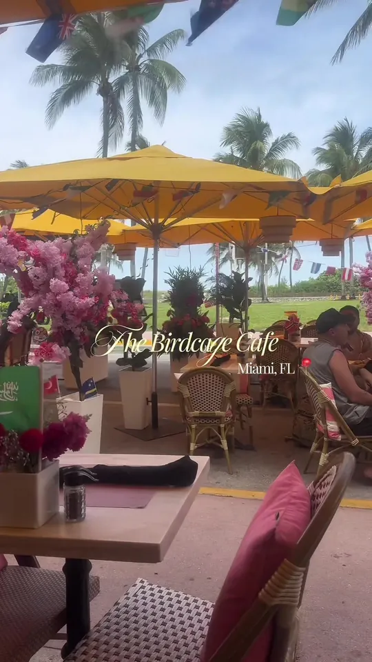 Video at The Birdcage Cafe, Miami Beach