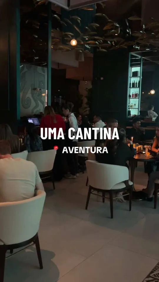Video at UMA Cantina Peruana, Miami Beach
