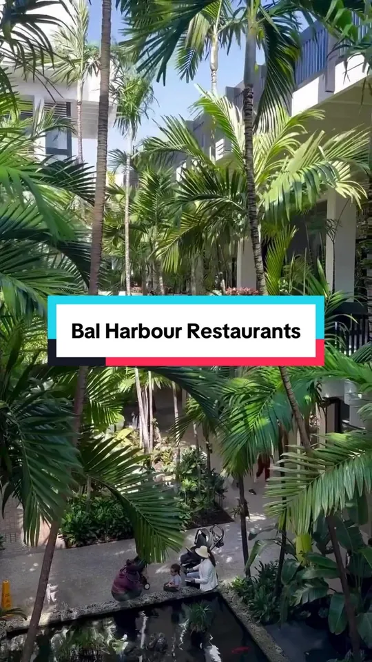 Video at Avenue 31 Café, Miami