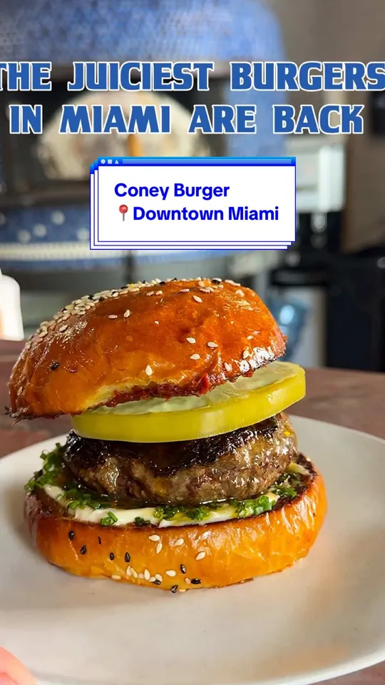 Burger at Coney Burger, Miami