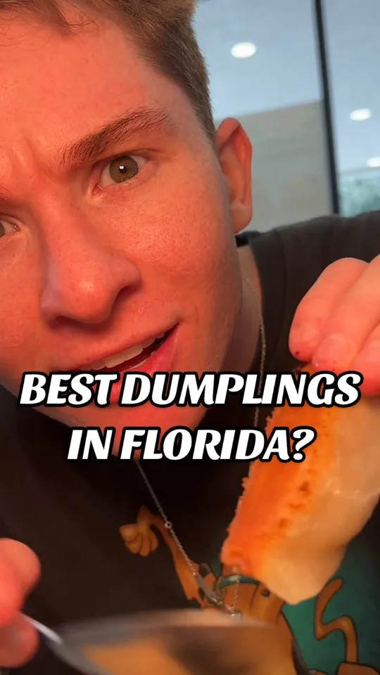 Dumplings at Dumplings Mi Amor, Miami
