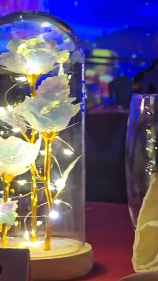 Video at Happy House, Miami