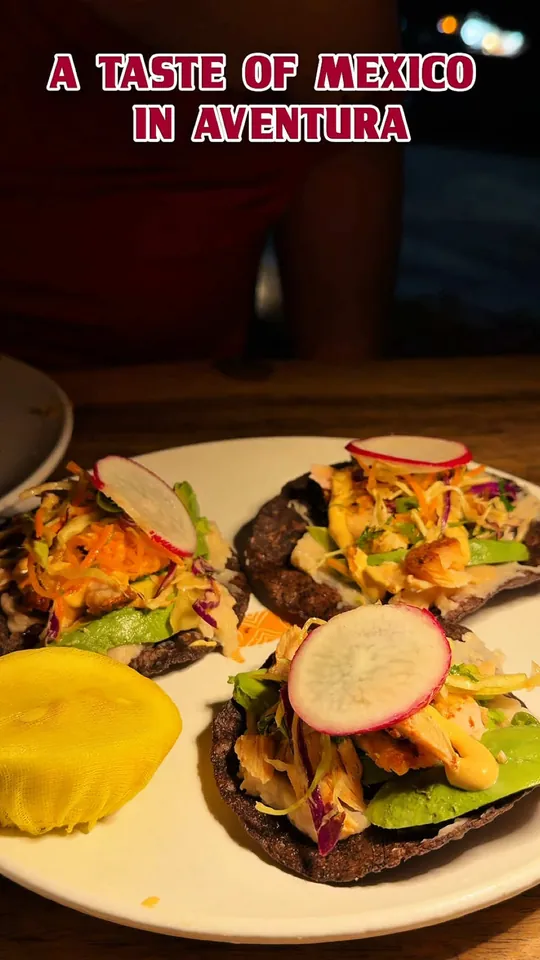 Video at Jacinta de Mexico, Miami