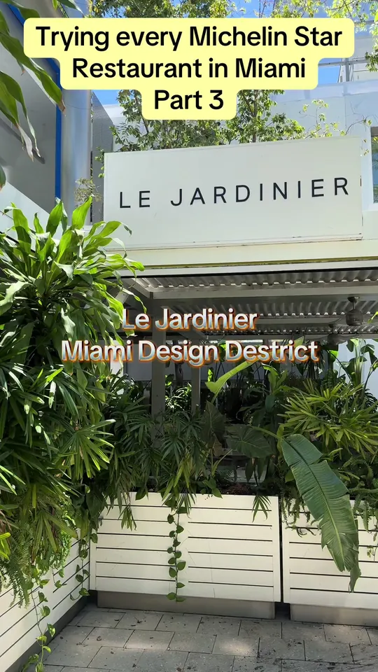 Video at Le Jardinier, Miami