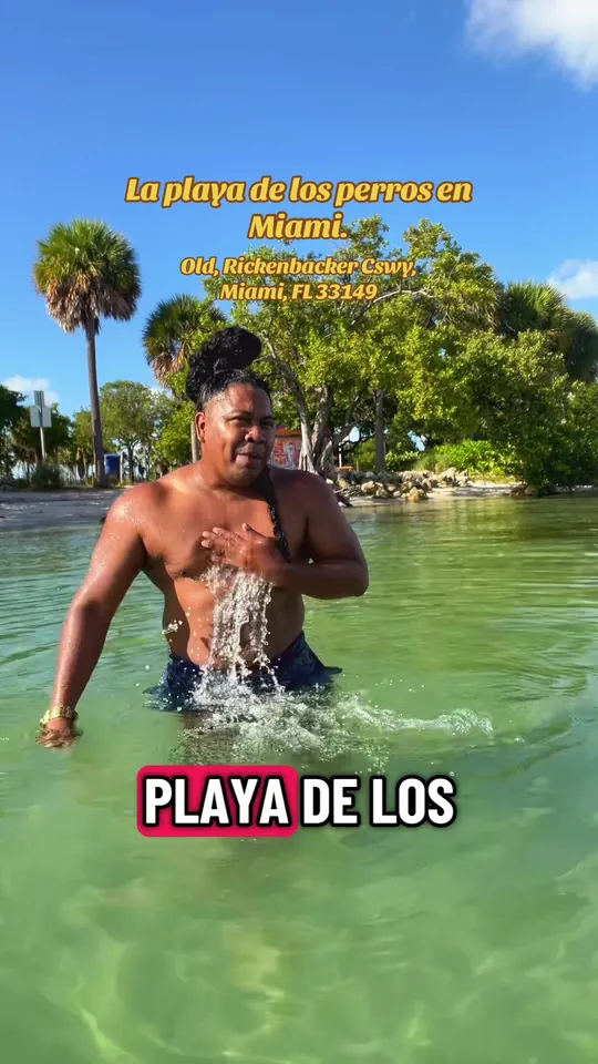 Video at Los Perros, Miami
