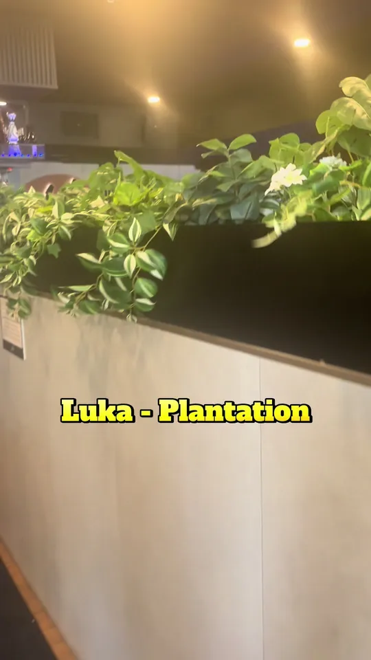 Brunch at Luka Restaurant and Coffee, Miami