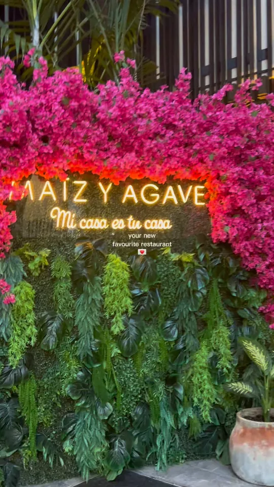 Video at Maíz y Agave, Miami