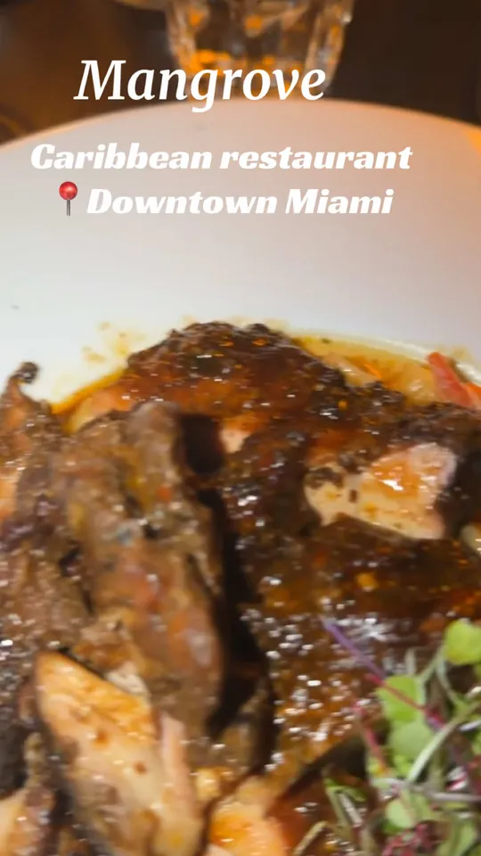 Video at Mangrove, Miami