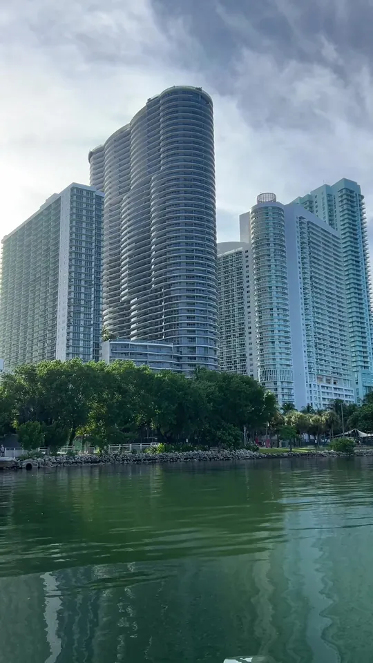Video at Mangrove, Miami