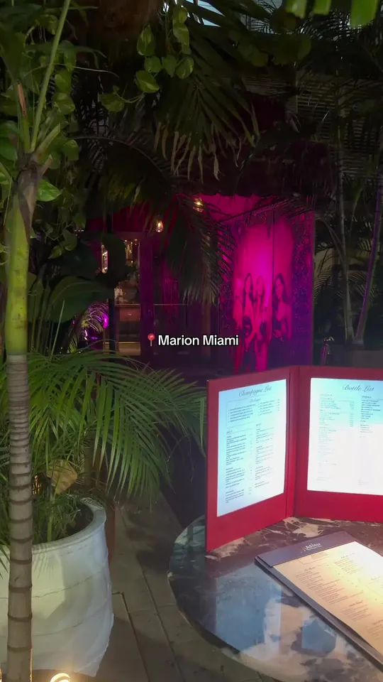 Video at Marion Miami, Miami