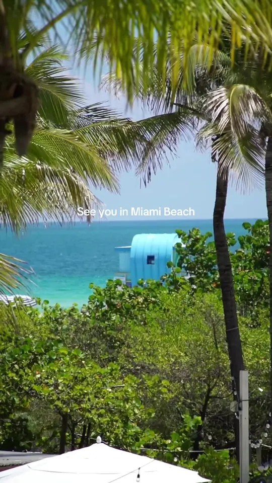 Video at Nikki Beach, Miami