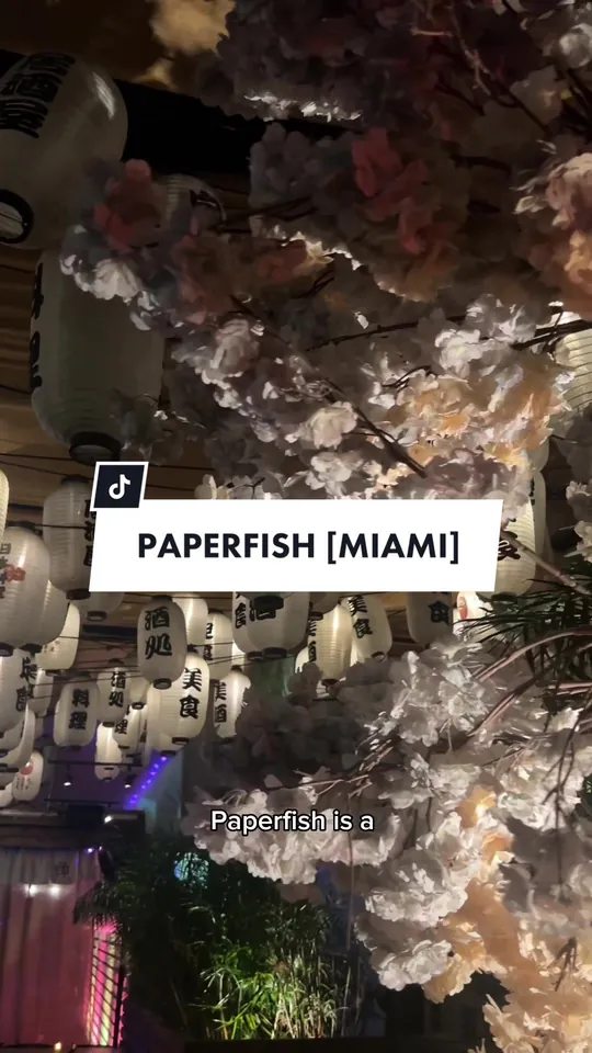 Sushi at Paperfish Sushi, Miami