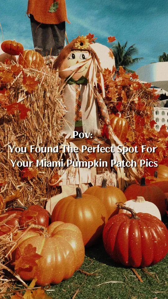 Video at Pier 5, Miami