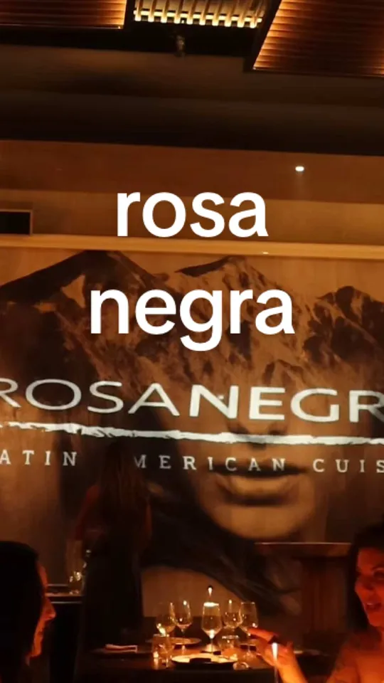 Video at RosaNegra Miami, Miami