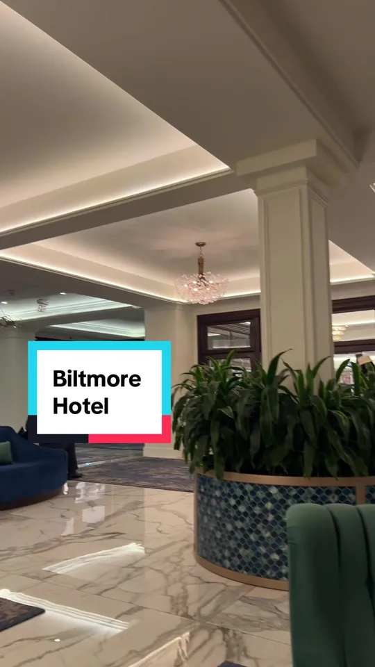 Video at The Biltmore Bar, Miami
