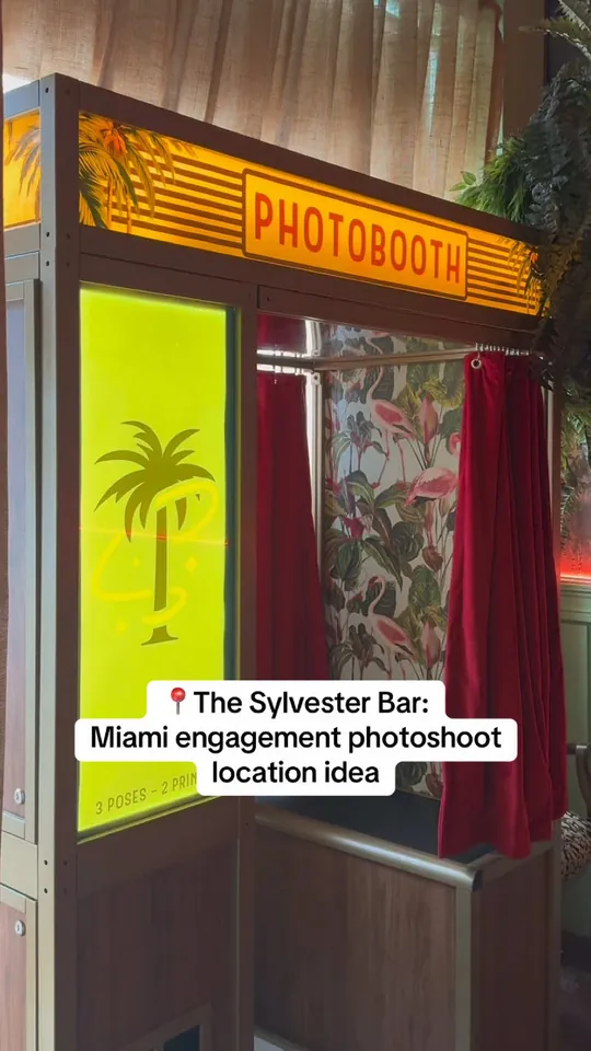 Video at The Sylvester, Miami