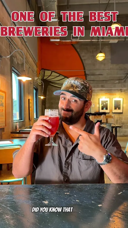 Video at Tripping Animals Brewing Co., Miami