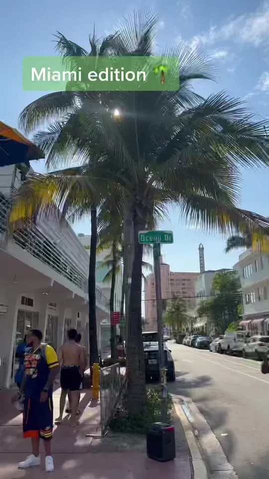 Video at Wet Willie's, Miami