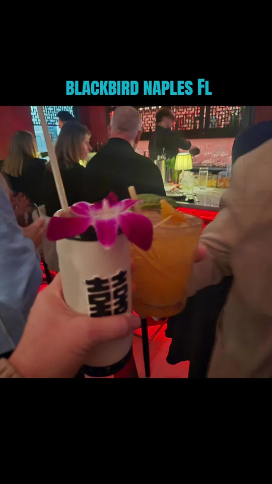 Video at Blackbird Modern Asian, Naples