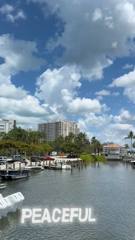 Video at M Waterfront Grille, Naples