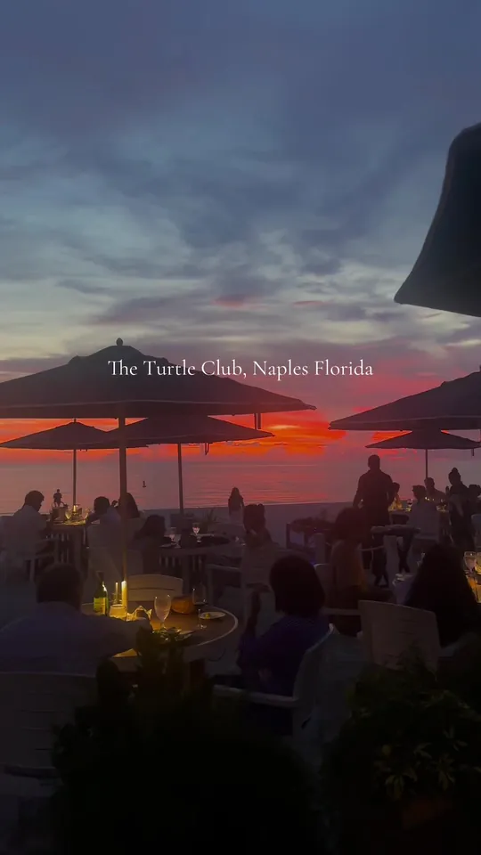 Video at The Turtle Club, Naples