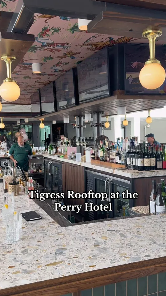 Video at Tigress Restaurant & Rooftop Bar, Naples