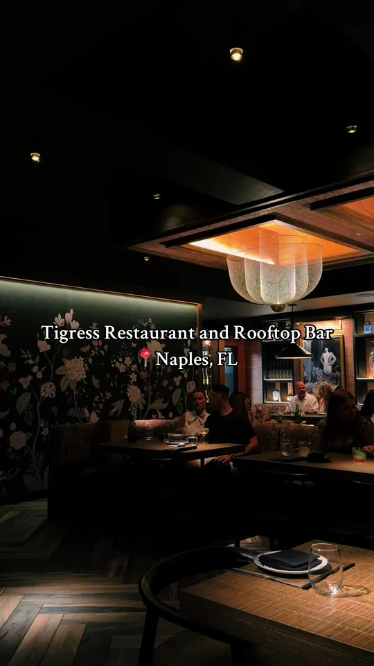 Video at Tigress Restaurant & Rooftop Bar, Naples