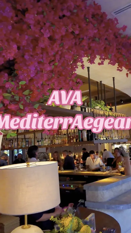 Video at AVA MediterrAegean, Orlando