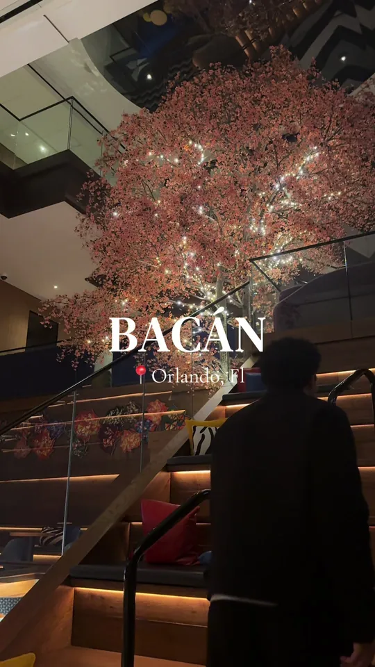 Video at Bacán, Orlando