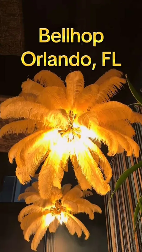 Video at Bellhop, Orlando