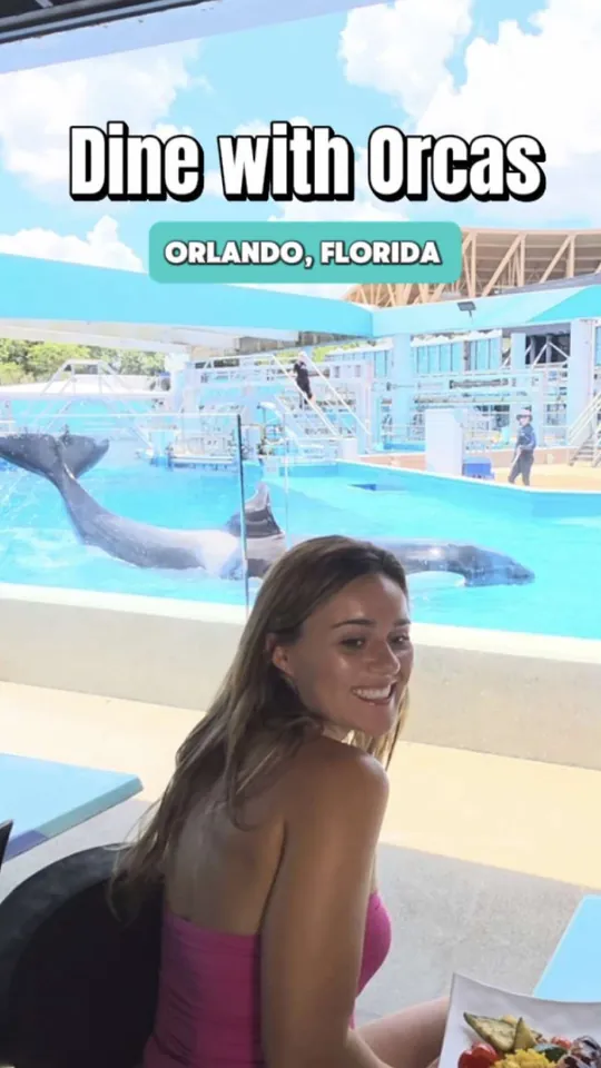 Video at Dine With Orcas, Orlando