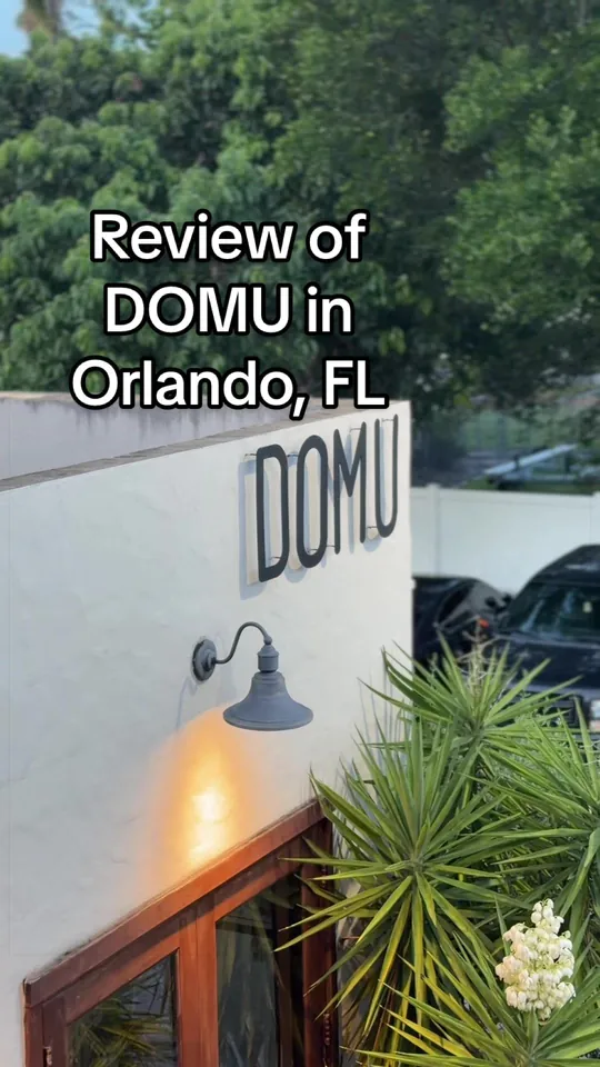Ramen at DOMU - Dr. Phillips, Orlando