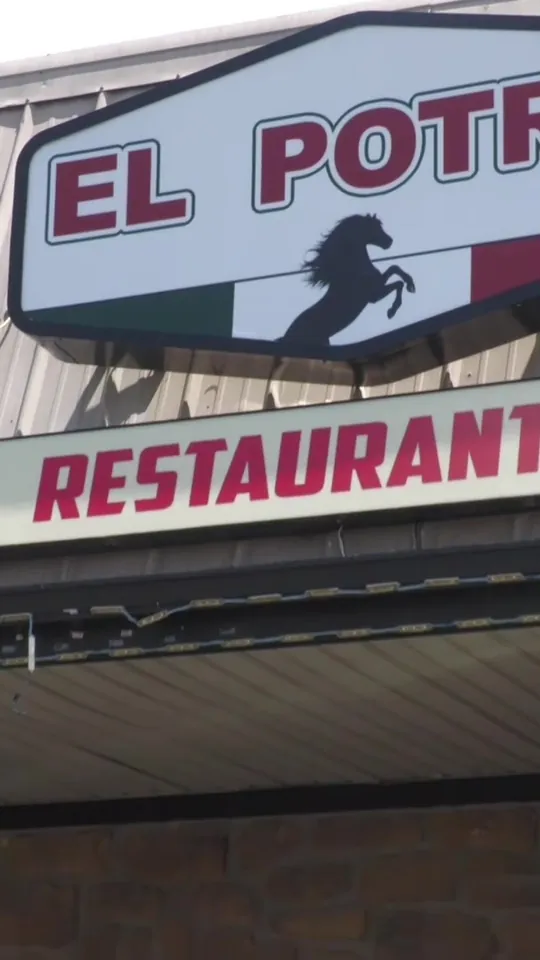 Video at El Potro Mexican Restaurant, Orlando