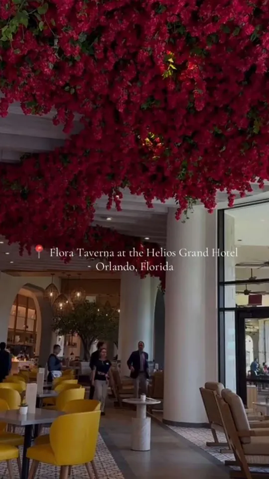 Burger at Flora Taverna, Orlando – $28 on the menu