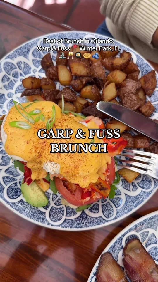 Video at Garp & Fuss, Orlando