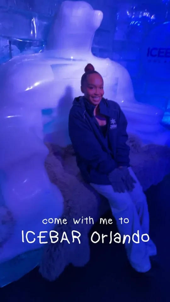 Video at ICEBAR Orlando, Orlando
