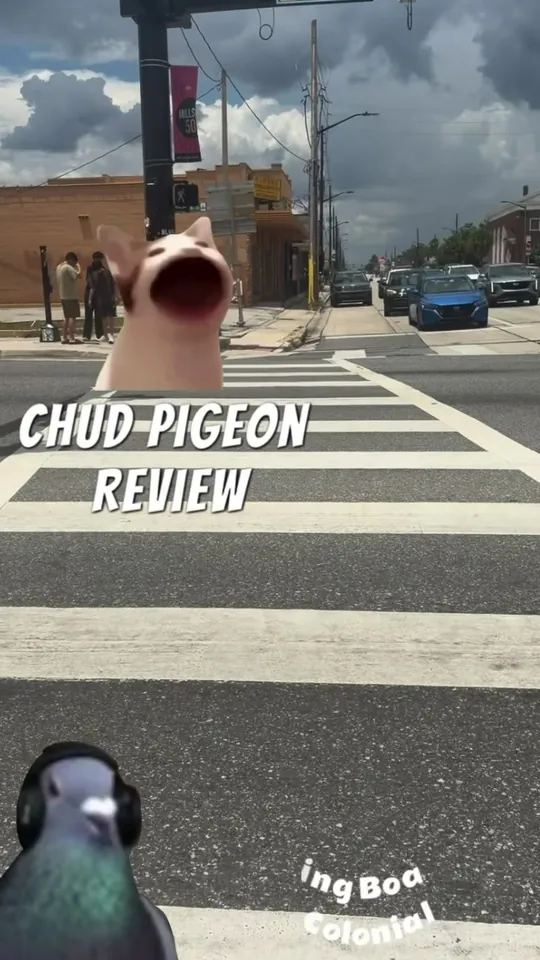 Video at King Bao, Orlando