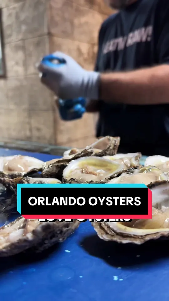 Oysters at Lee & Rick's Oyster Bar, Orlando