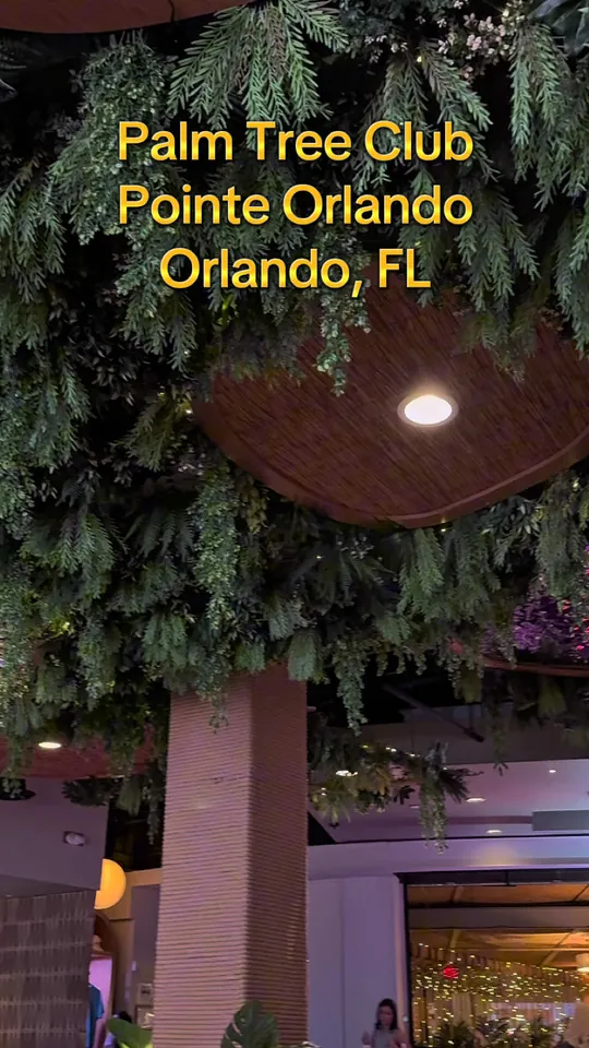 Video at Palm Tree Club Orlando, Orlando